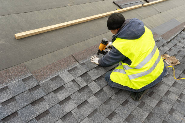 Roof Gutter Cleaning